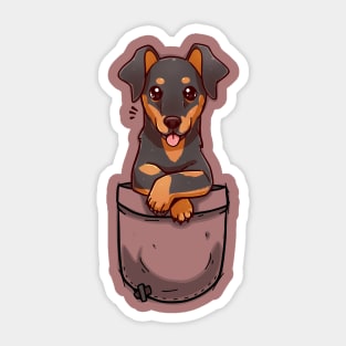 Pocket Cute Dobermann Dog - T-Shirt Sticker